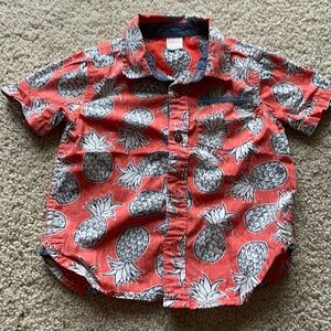 3T boys Gymboree pineapple polo shirt